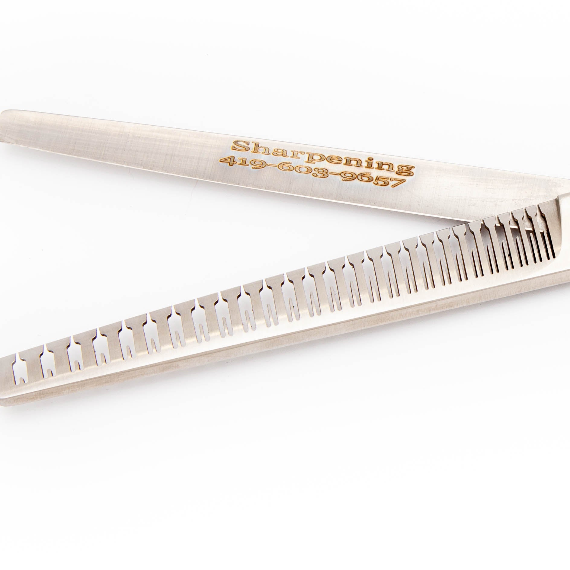 GAMECHANGER Blender - Sharp Shop Guy