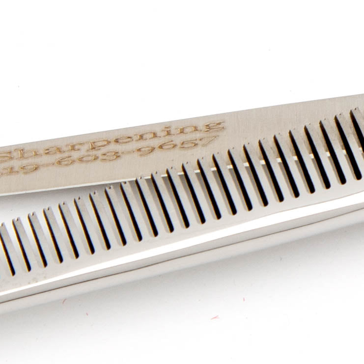 Runs with Scissors "ST5" Series Blender