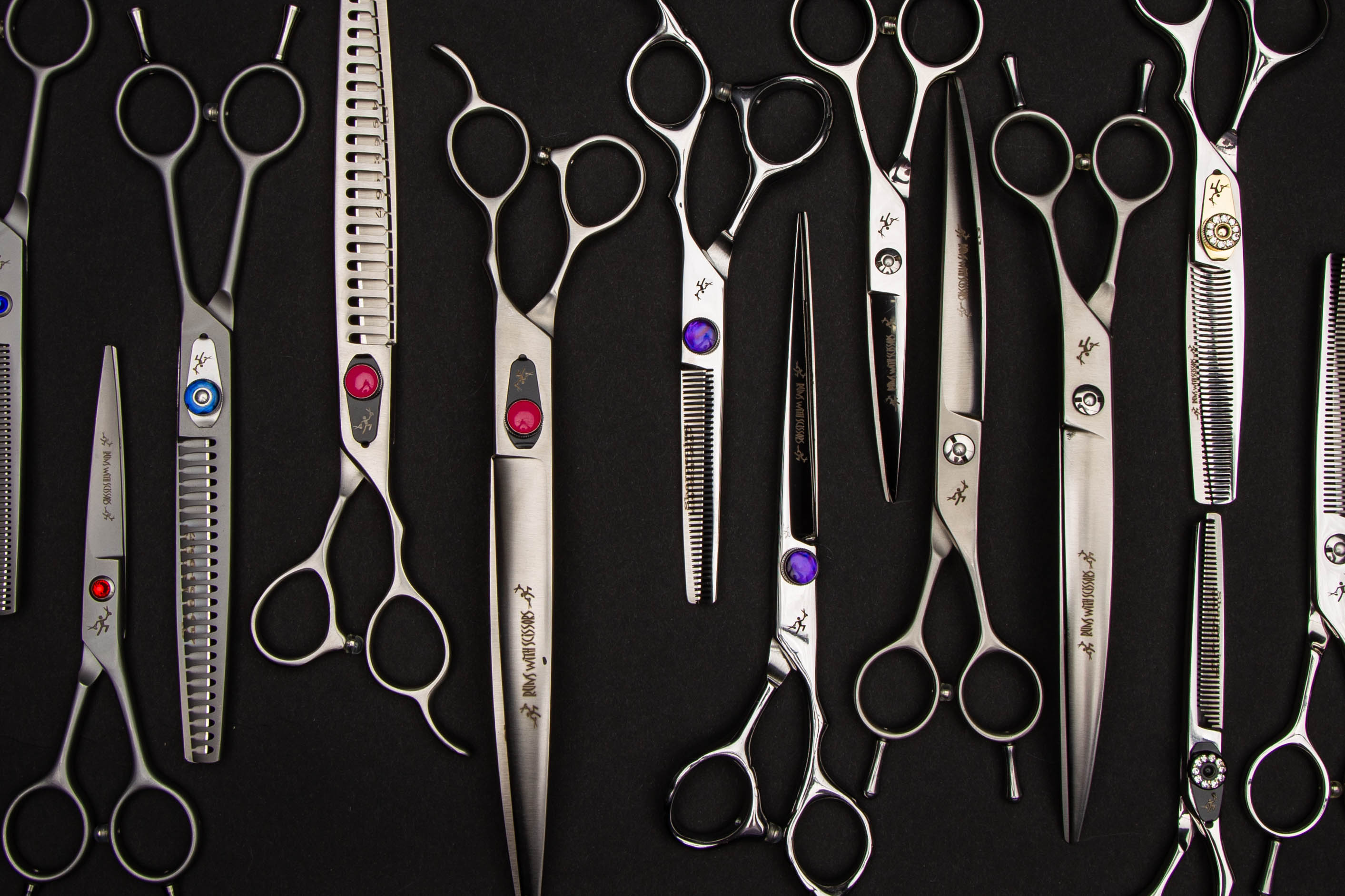 Runs With Scissors Family Image