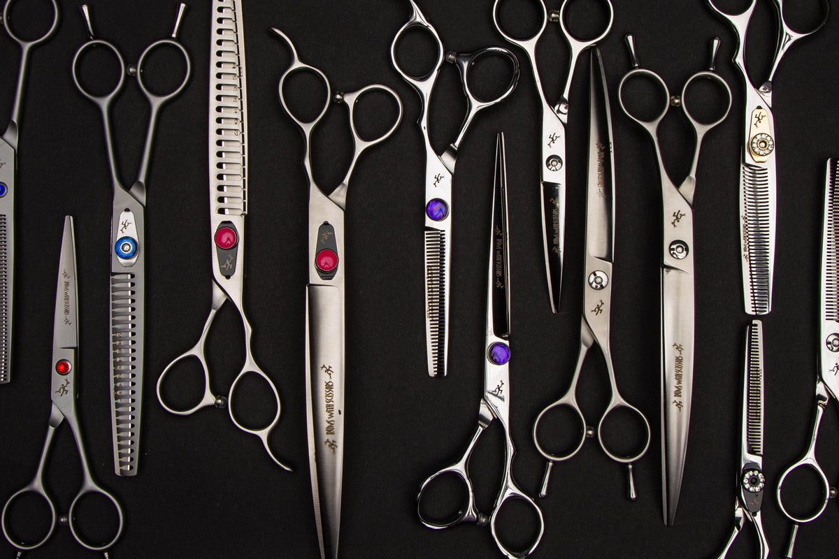 Runs With Scissors Family Image